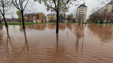 Bosna Hersek'te alevli yağmur sere hastalık oldu